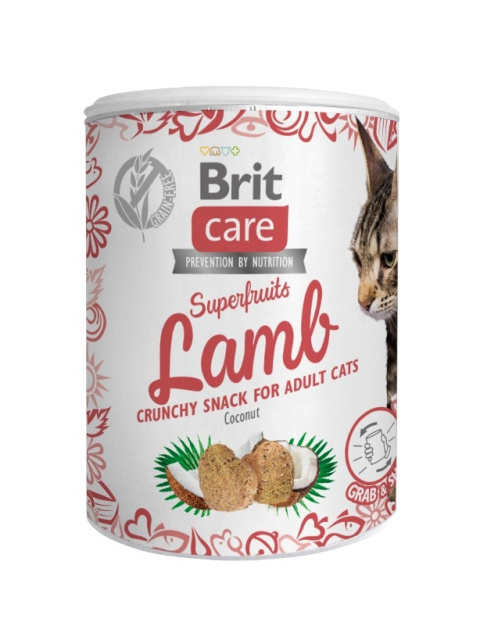 BRIT CARE CAT Snack Superfruits Lamb 100g