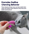 PETSTAGES Dental krewetki dla kota