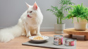 John Dog for Cats Filety Kurczak 70g - karma mokra dla kota pełnoporcjowa