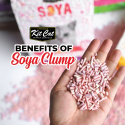 Kit Cat Soya Clump Confetti - eko żwirek sojowy 2,5kg