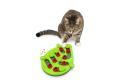 Nina Ottosson Cat Buggin' Out Puzzle & Play - gra edukacyjna dla kotów
