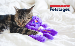 Petstages Purr Pillow Kitty - mrucząca poduszka dla kota