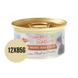 Pakiet 12x85g Power of Nature Minka's Meat on Monday - królik, przepiórka, kurczak i pstrąg zestaw