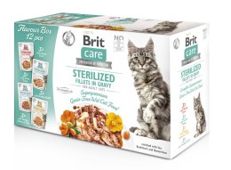 Brit Care Cat Fillets In Gravy Mix saszetki w sosie multipack 12x85g