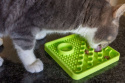 LickiMat CATSTER - mata dla kota zielona