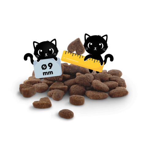 Lucky Lou Food Code Lifestage Kitten drób kurczak - karma sucha dla kociąt 340g