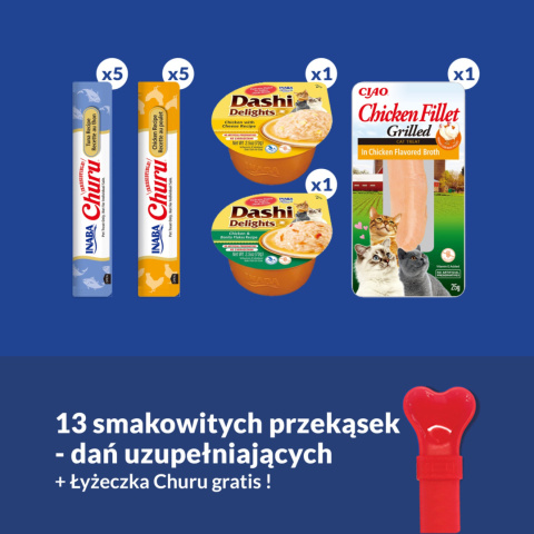 INABA Cat Ciao GIFTBOX 13 przysmaków + łyżeczka - świąteczny zestaw dla kota