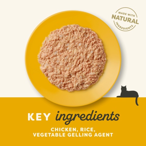 APPLAWS Cat Senior kurczak w galaretce dla starszych kotów 70g