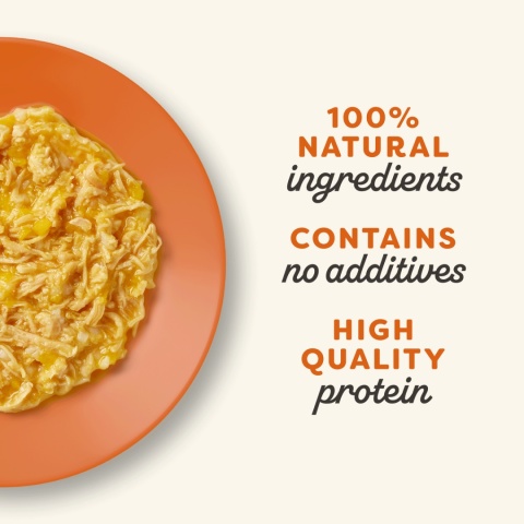 APPLAWS Cat 156g kurczak z dynią w bulionie dla kota