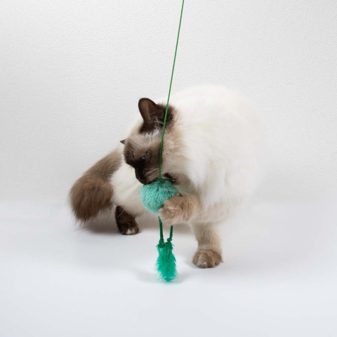 Coockoo Jumping Jumpy wędka - zabawka dla kota 40cm