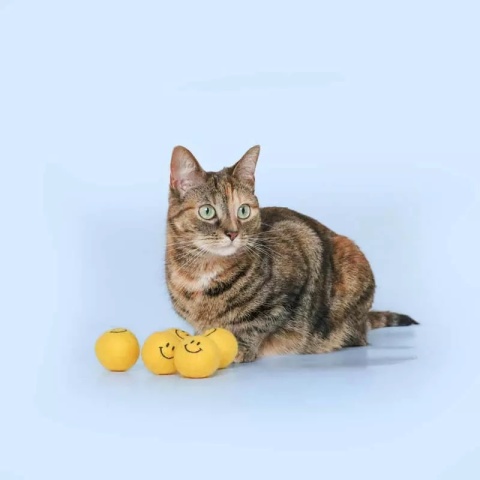 Coockoo Keep on Smiling - uśmiechnięta filcowa piłeczka dla kota