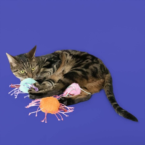 Coockoo Lolly Ross pluszowa zabawka dla kota ze sznureczkami