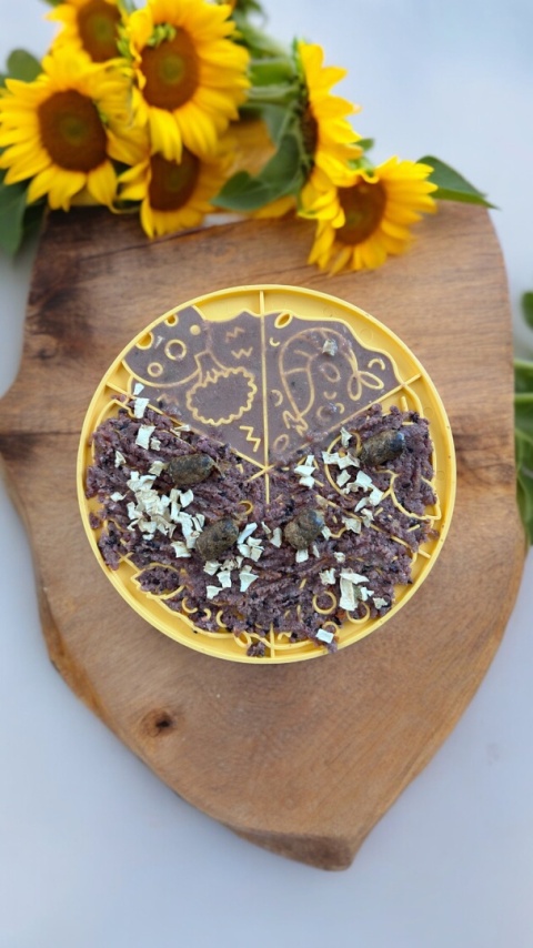 Fiboo Mata do lizania Fizza - uspokajająca mata dla kota w kształcie pizzy