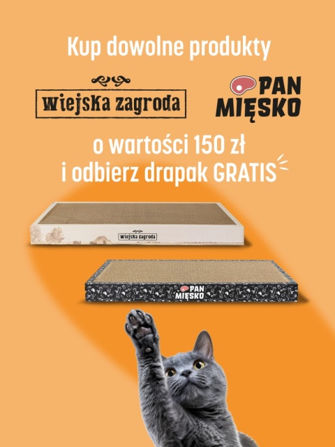 PREZENT Drapak dla kota