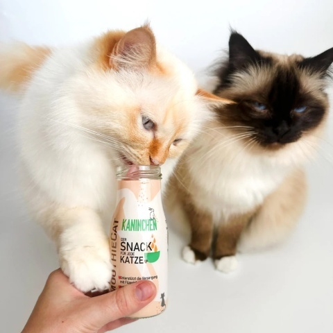 SmoothieCat KRÓLIK - mięsna płynna przekąska dla kota 150ml