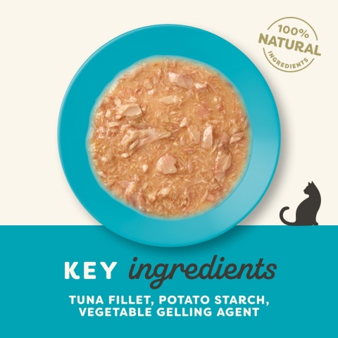 APPLAWS Cat filet z tuńczyka w sosie dla kota 70g