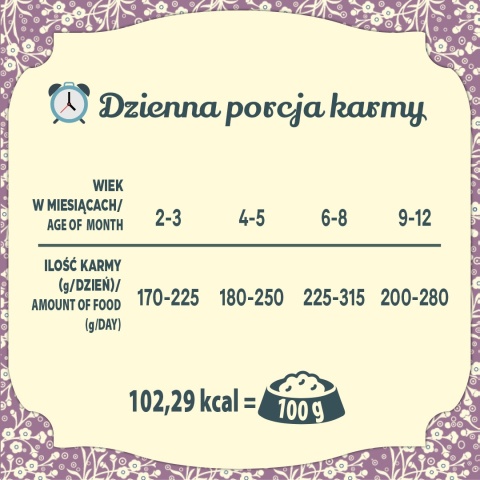 FOLK Kitten Delikatne danie dla malucha z jagnięciny - karma dla kociąt 85g