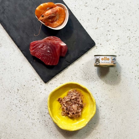 Ollo Cat nr 1 tuńczyk i krewetki - karma dla kota 70g