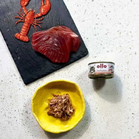 Ollo Cat nr 11 tuńczyk i homar - karma dla kota 70g