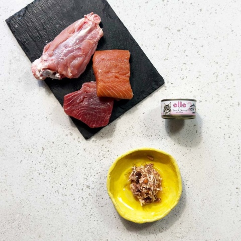 Ollo Cat nr 2 tuńczyk i kurczak z łososiem - karma dla kota 70g