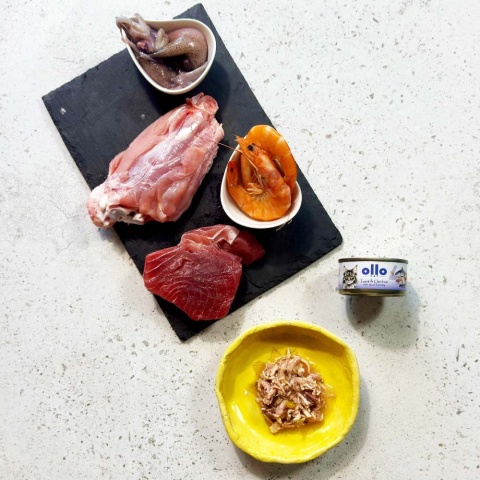 Ollo Cat nr 4 kurczak i kałamarnica z krewetkami - karma dla kota 70g