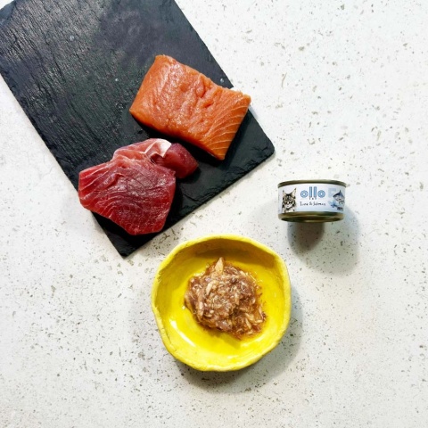 Ollo Cat nr 5 tuńczyk i łosoś - karma dla kota 70g