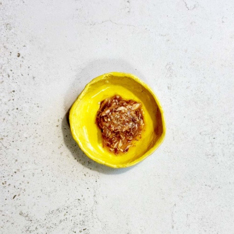 Ollo Cat nr 5 tuńczyk i łosoś - karma dla kota 70g