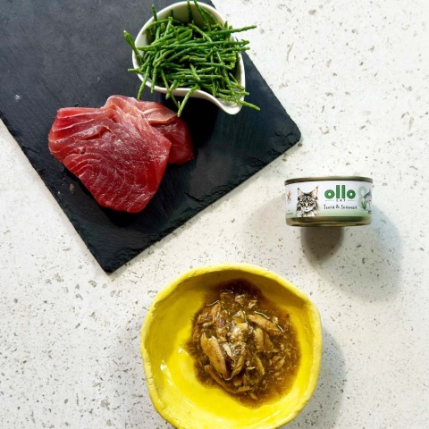 Ollo Cat nr 8 tuńczyk i wodorosty - karma dla kota 70g