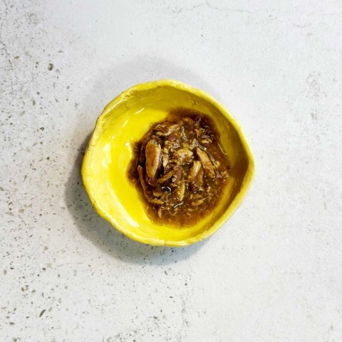 Ollo Cat nr 8 tuńczyk i wodorosty - karma dla kota 70g