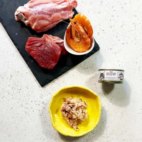 Ollo Cat nr 12 tuńczyk i kurczak z krewetkami w galaretce - karma dla kota 70g