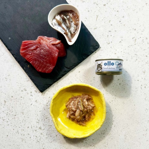 Ollo Cat nr 9 tuńczyk i anchois - karma dla kota 70g