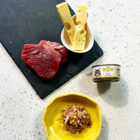 Ollo Cat nr 10 tuńczyk ser - karma dla kota 70g