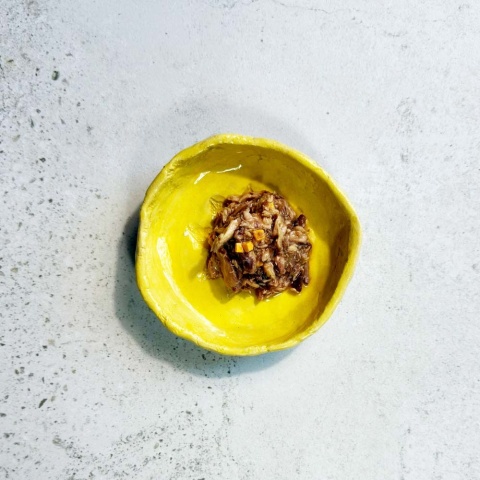 Ollo Cat nr 10 tuńczyk ser - karma dla kota 70g