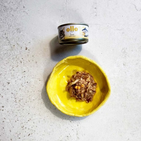 Ollo Cat nr 10 tuńczyk ser - karma dla kota 70g