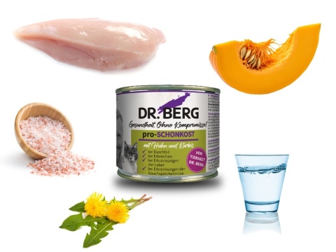 Dr. Berg Pro SCHONKOST - dietetyczna karma dla kotów z problemami żołądkowo-jelitowymi i biegunkami 200g