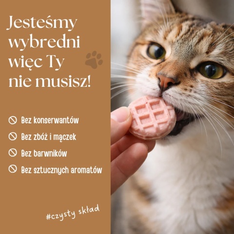 Dr Malou Wafle z liofilizowanego mięsa kurczaka (mix smaków) - przysmak dla kota 60g