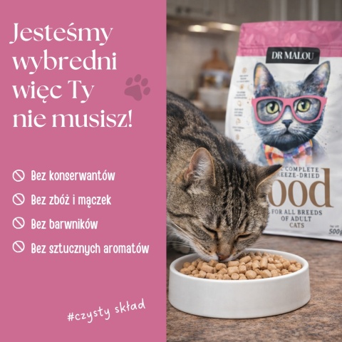 Dr Malou kurczak z sercami kurczaka - liofilizowana karma dla kota 500g
