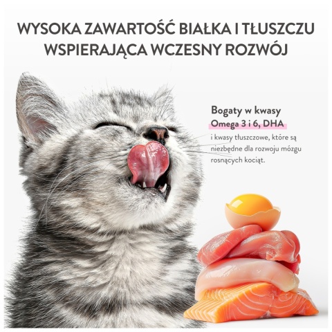 Schesir Baby Mousse łosoś z kurczakiem dla kociąt 70g