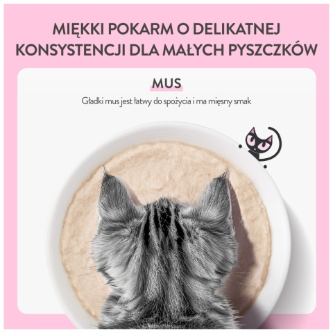 Schesir Baby Mousse kurczak z wątróbką dla kociąt 70g