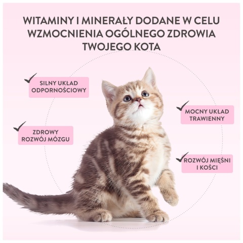 Schesir Baby Mousse kurczak z wątróbką dla kociąt 70g