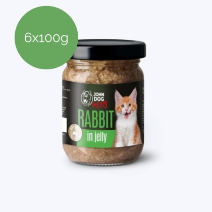 Zestaw 6x100g John Dog for Cats królik w galaretce Kitten dla kociąt