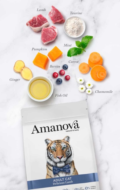Amanova Cat ADULT Delicious Lamb jagnięcina - sucha karma dla kota 1,5kg