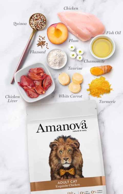 Amanova Cat ADULT Exquisite Chicken kurczak - sucha karma dla kota 1,5kg