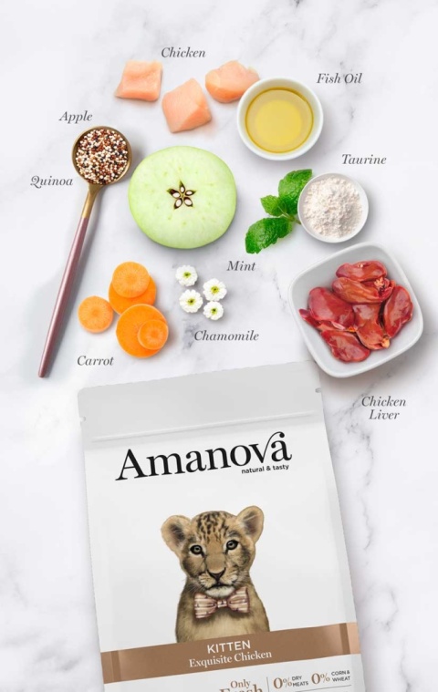 Amanova KITTEN Exquisite Chicken kurczak dla kociąt - sucha karma 1,5kg