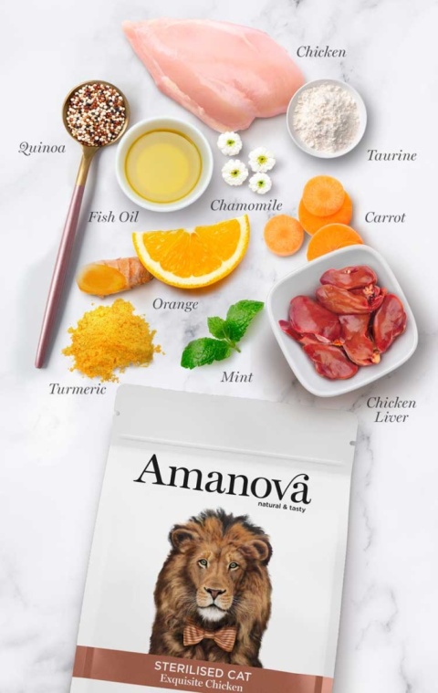 Amanova Cat Sterilised Exquisite Chicken kurczak - sucha karma dla kota 300g