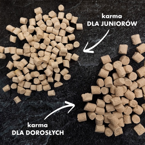 Dr Malou kurczak z mlekiem kozim i żółtkiem - liofilizowana karma dla kociąt 1kg