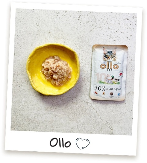 Ollo Cat nr 10 Rabbit Duck Królik i Kaczka - mokra karma dla kota 85g