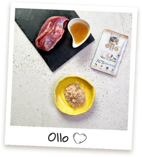 Ollo Cat nr 10 Rabbit Duck Królik i Kaczka - mokra karma dla kota 85g