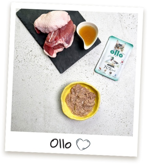 Ollo Cat nr 2 Duck Kaczka - mokra karma dla kota 85g