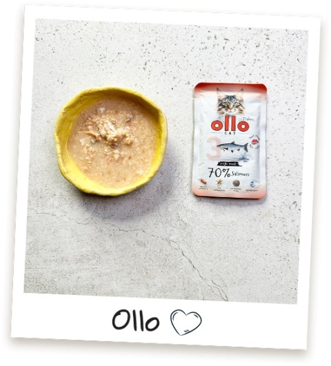 Ollo Cat nr 3 Salmon Łosoś - mokra karma dla kota 85g